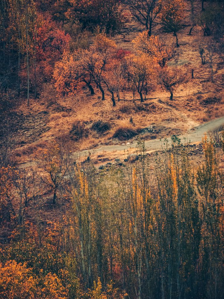 Photograph by Ashkan Bahrami