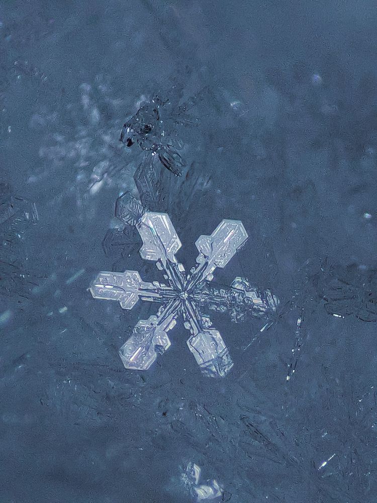 Photograph by Сергей Миронов