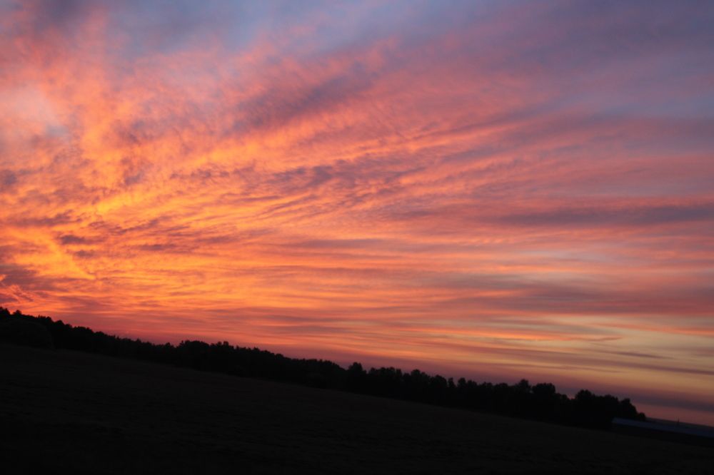 Photograph by Татьяна Прасулова
