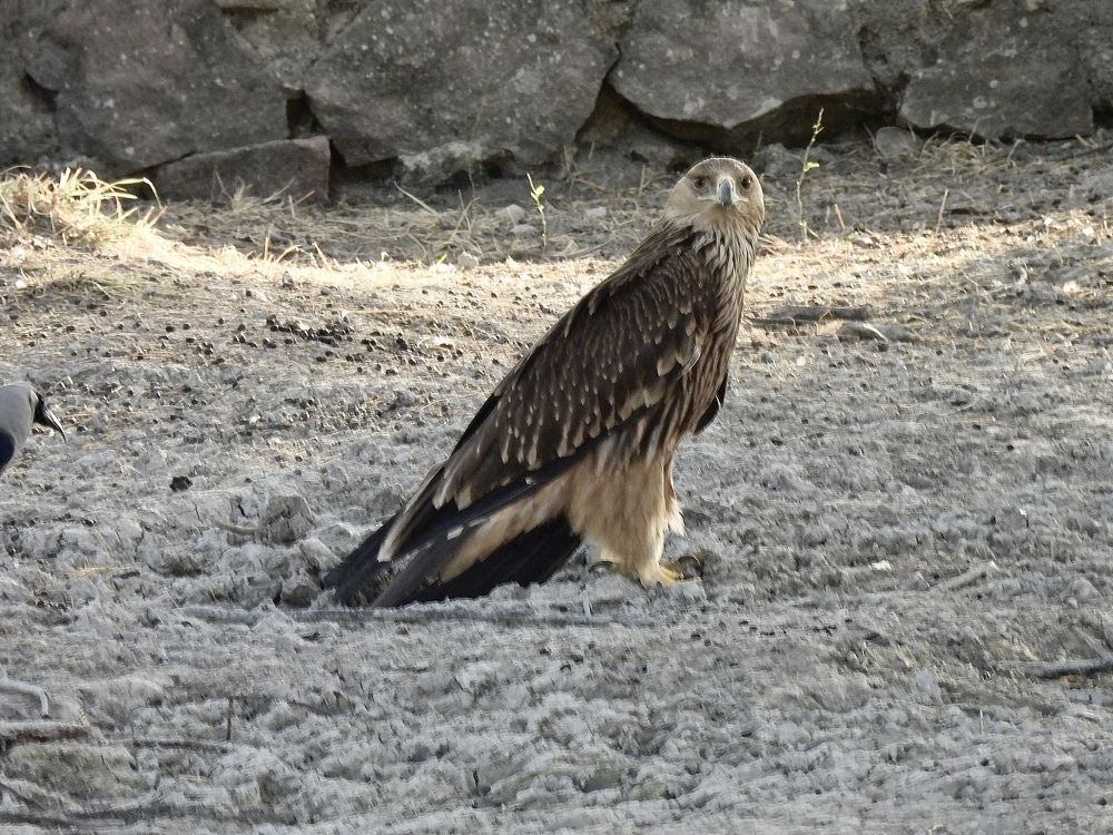 Photograph by Viraj Singh Bhutoria