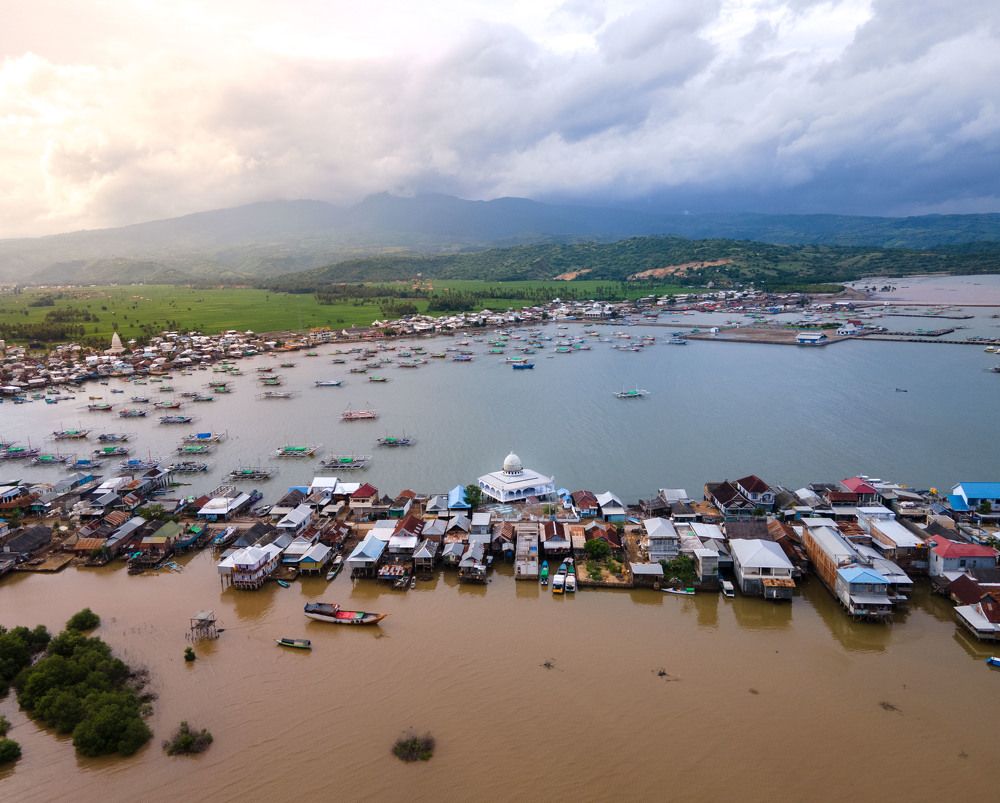 Photograph by Andrii Nema