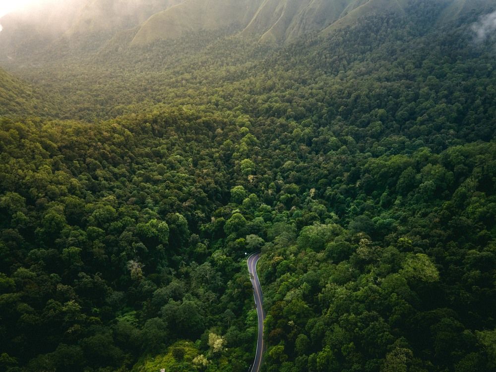 Photograph by Andrii Nema