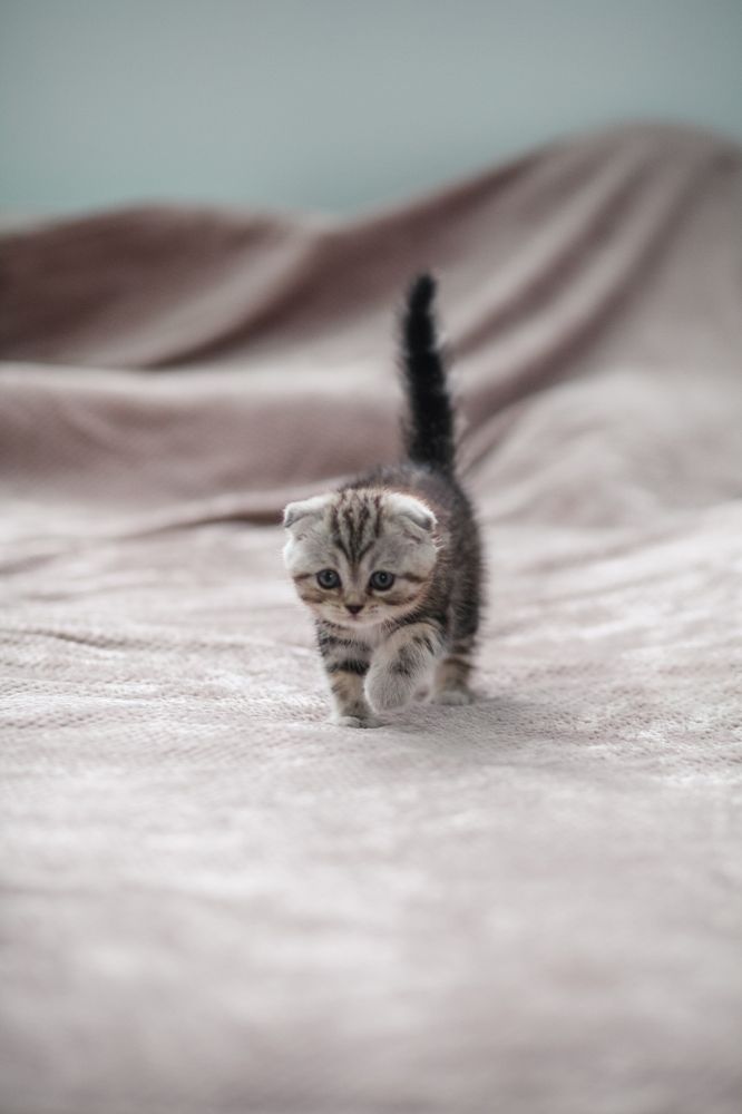 Photograph by Лазарева Анна Игоревна