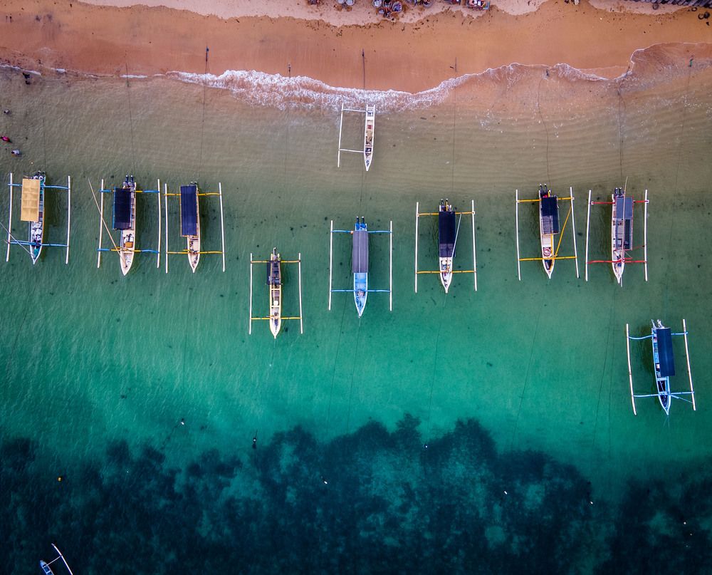 Photograph by Andrii Nema