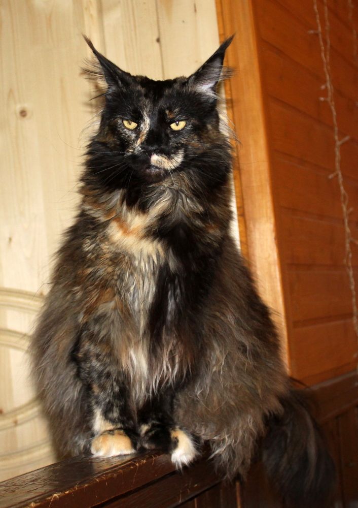 Photograph by Глеб Кузьминых