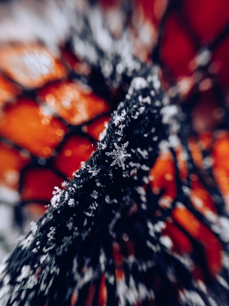 Photograph by Селезнёва Мария