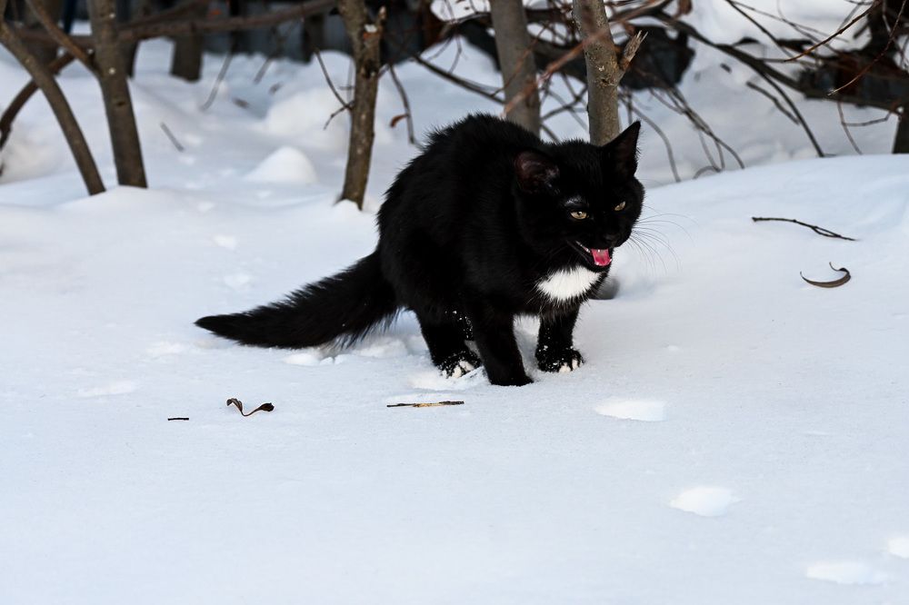 Photograph by Евгения