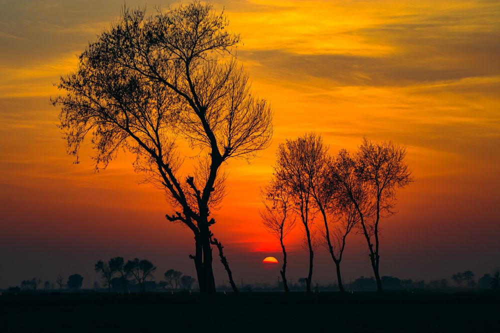 Photograph by Ali Hassan Saleem