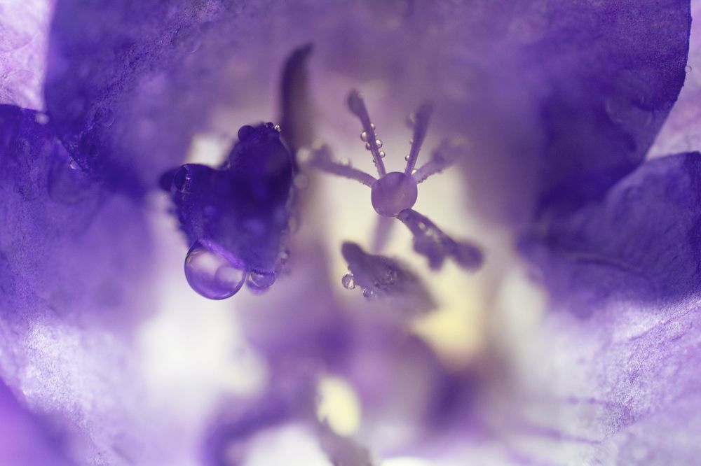 Photograph by Нина Любарская-Мерц