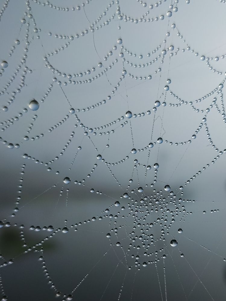 Photograph by Omkar Makani