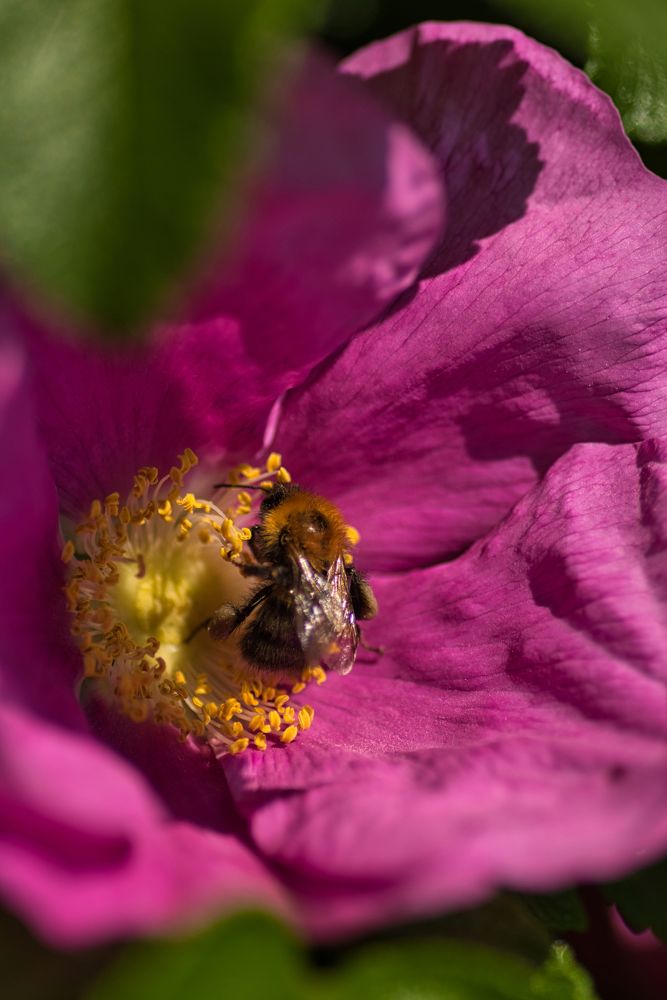 Photograph by Елена Константинова