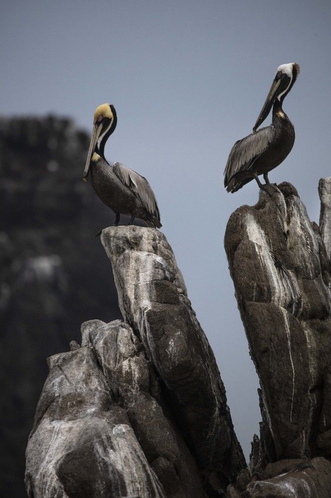 Photograph by Jorge Antonio Manjarrez Castellanos