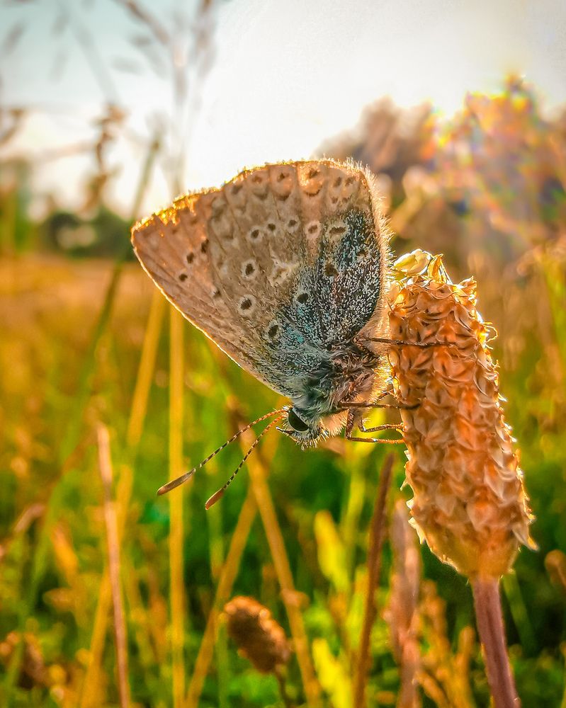 Фотография автора Дмитрий