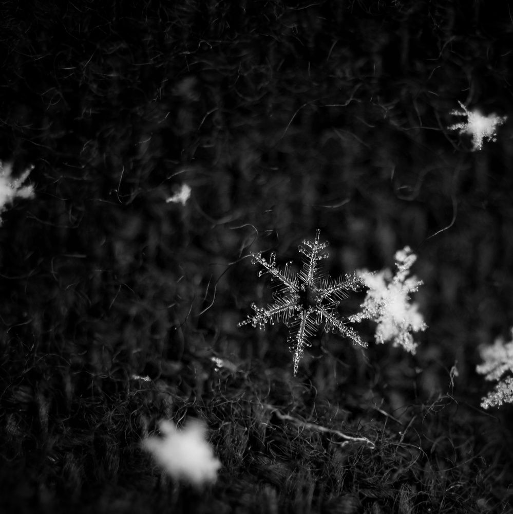 Photograph by Наталия Долганова