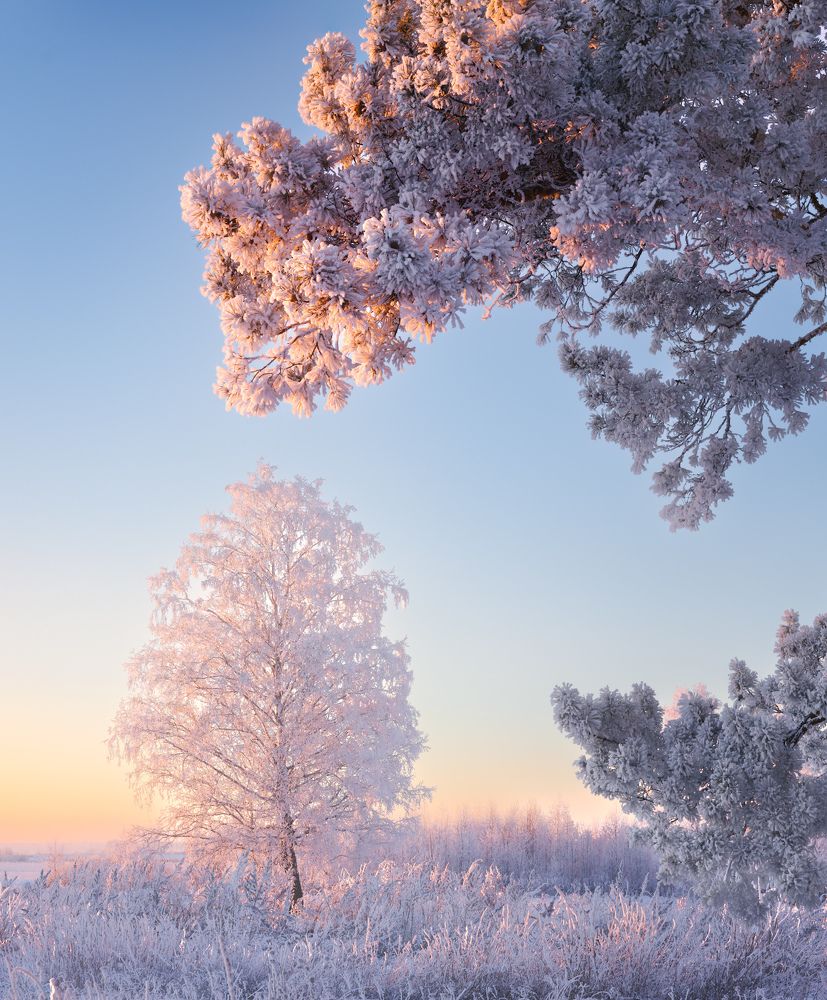 Photograph by Леонтьев Константин