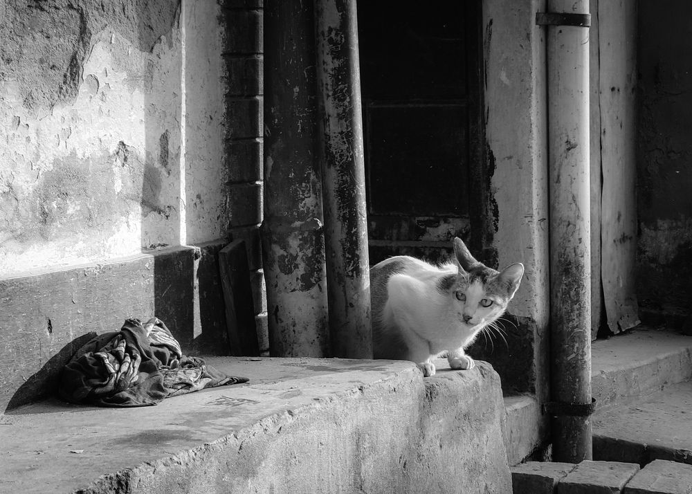 Photograph by Sanjay Been