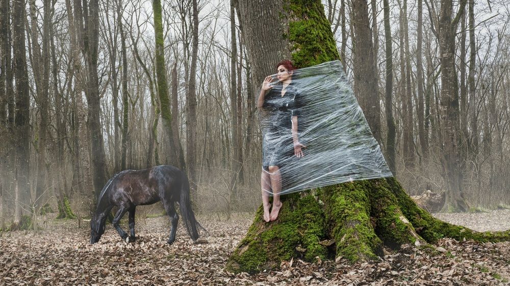 Photograph by Hooman Sedaghi