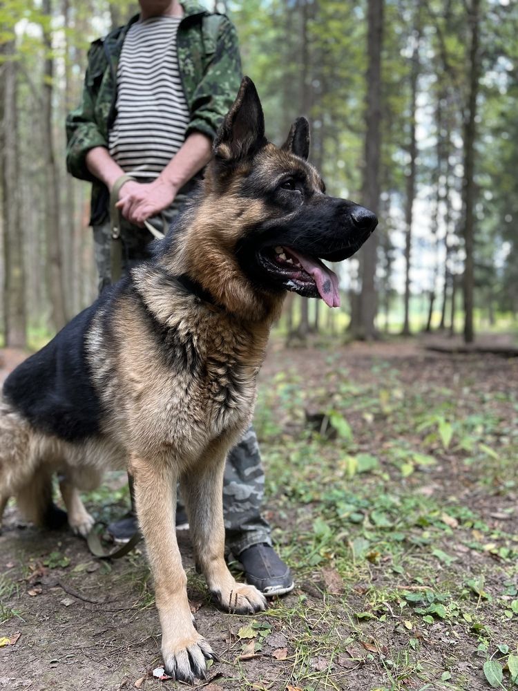 Photograph by Alice Vikernes