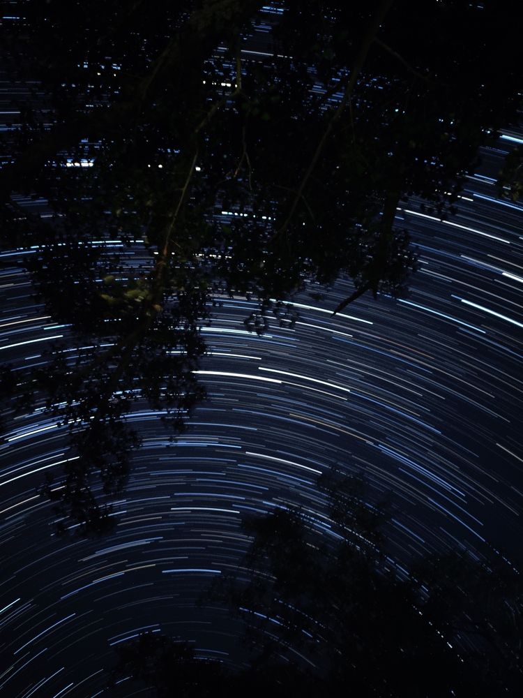 Photograph by Deependra Singh Rajput