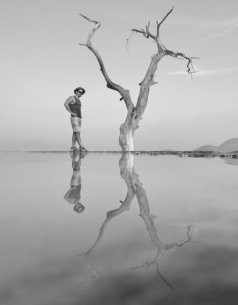 Me and the tree modeling…