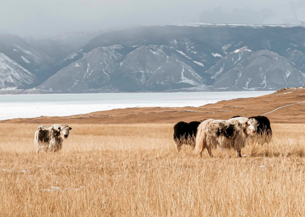 Photograph by Мария Уголькова