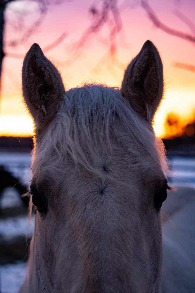 Photograph by Savanna Meredith