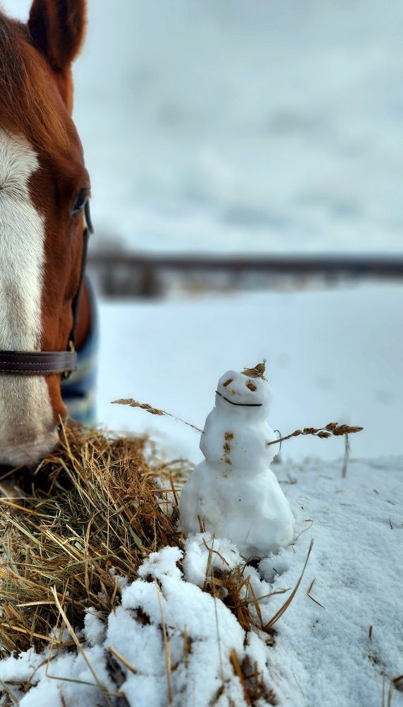 Photograph by Savanna Meredith