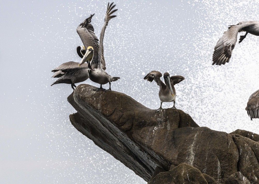 Photograph by Jorge Antonio Manjarrez Castellanos