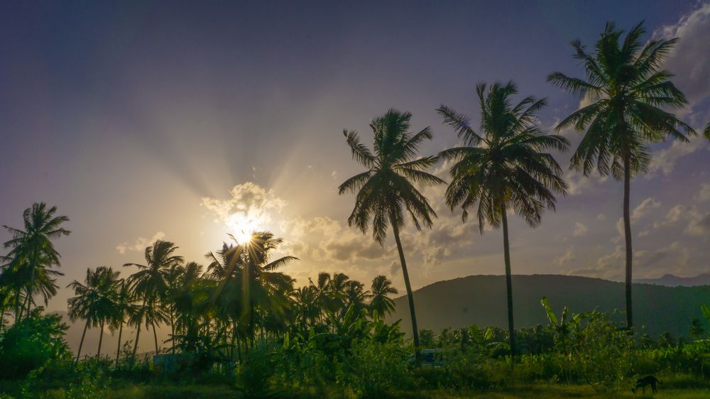 Photograph by Somesh Roy