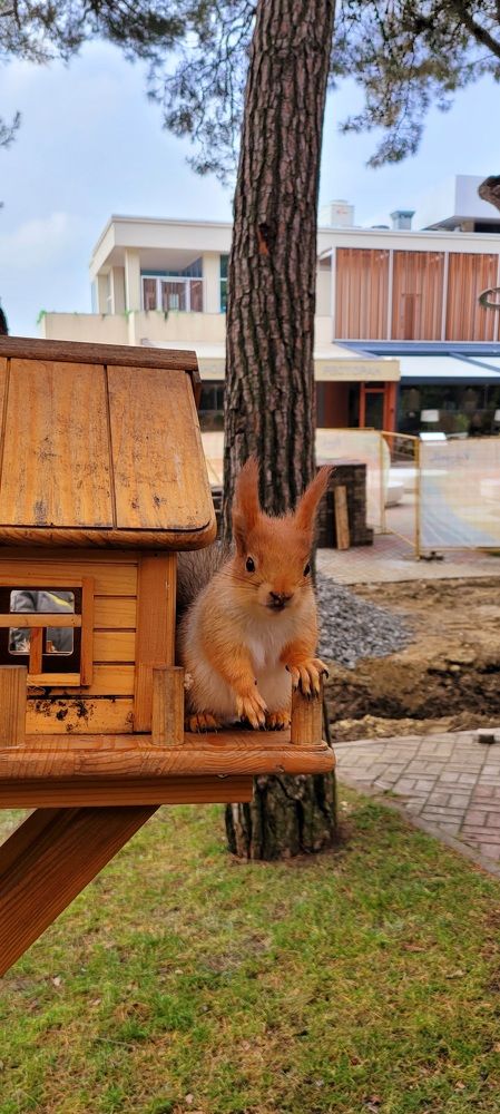 Photo #8906343