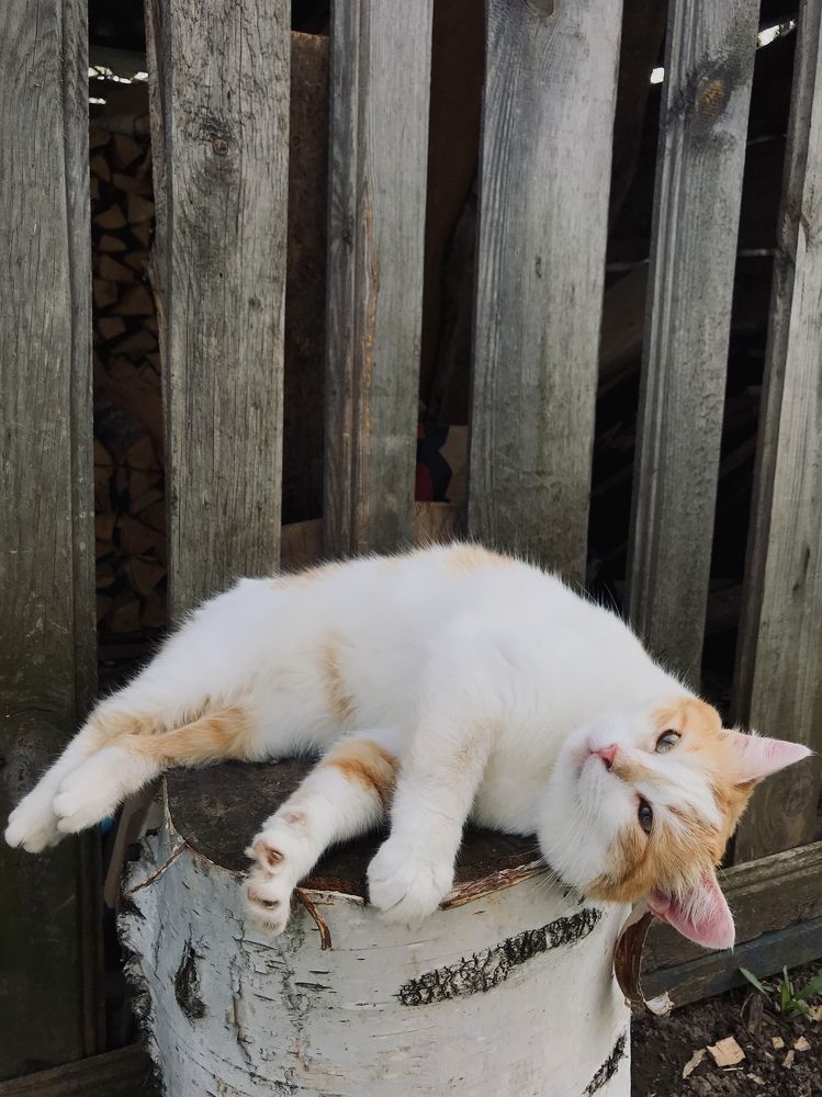 Photograph by Полина Александровна