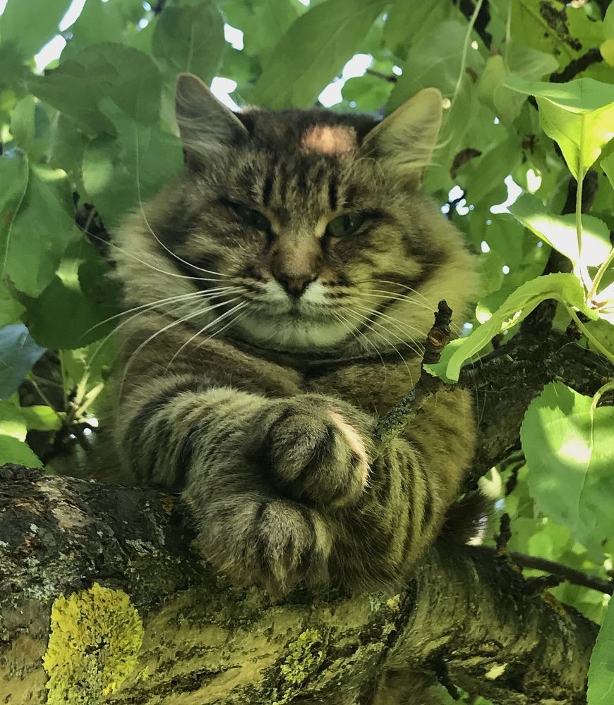 Photograph by Полина Александровна