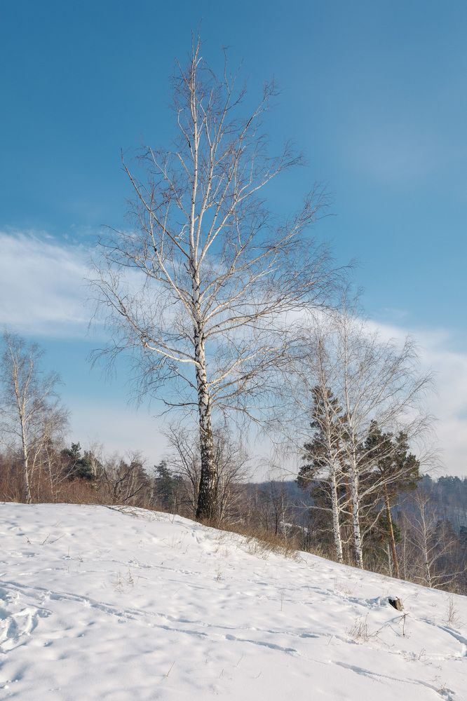 Photograph by Arkhipov