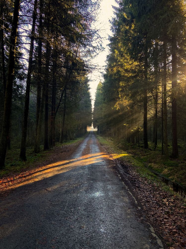 Photograph by Maria Gutorova