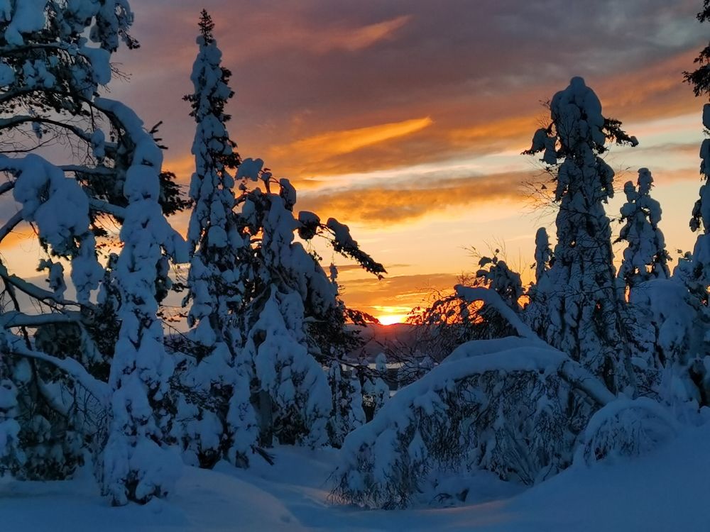 Photograph by Елена