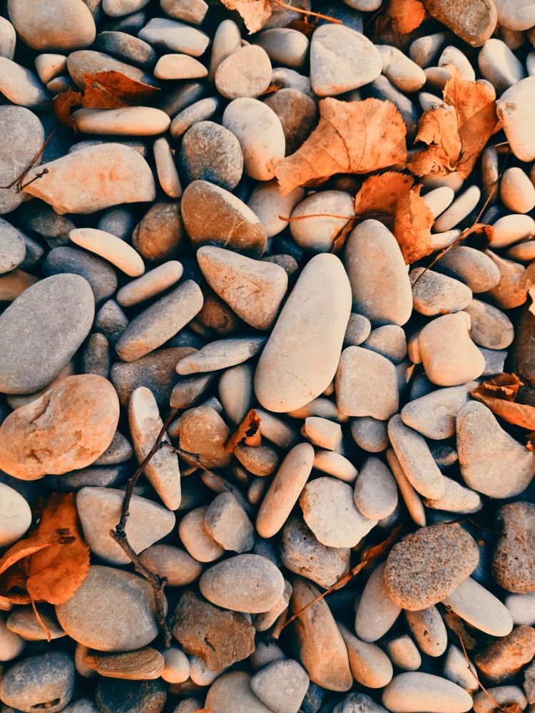 Photograph by Ирина Скворцова
