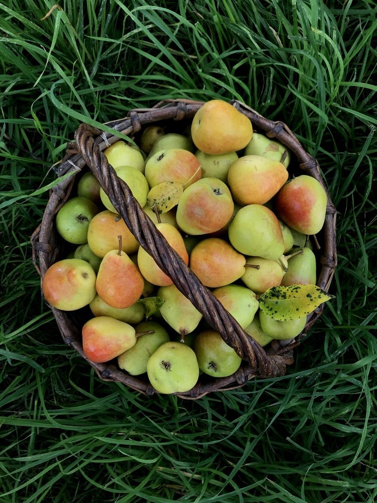 Photograph by Полина Александровна