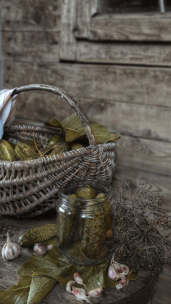 Photograph by Елена Пасажицкая