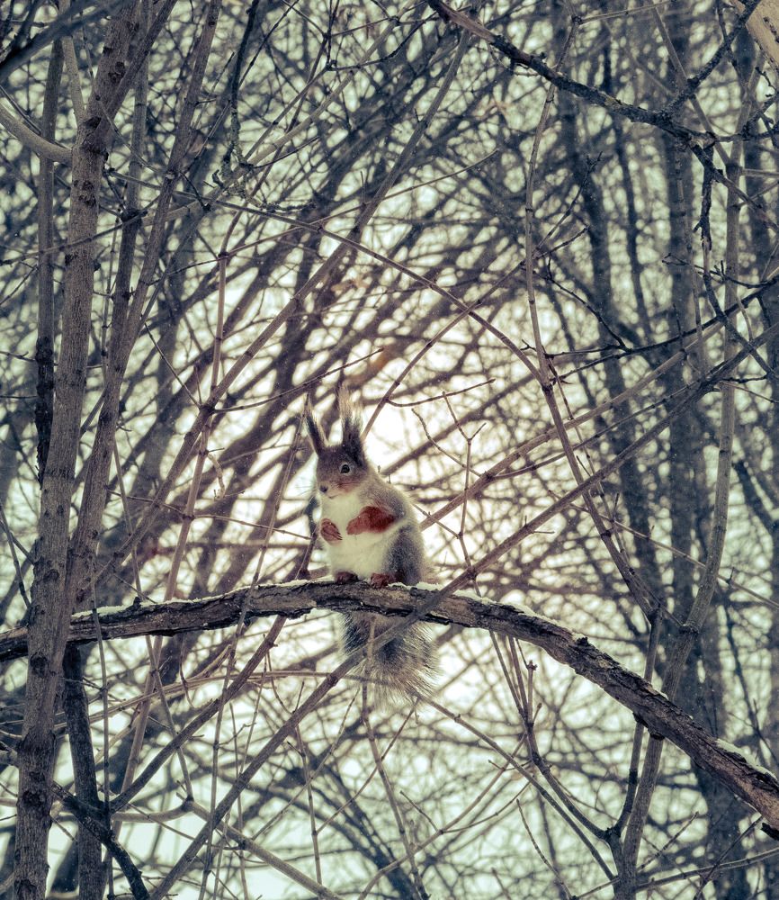 Photograph by Данила Черных