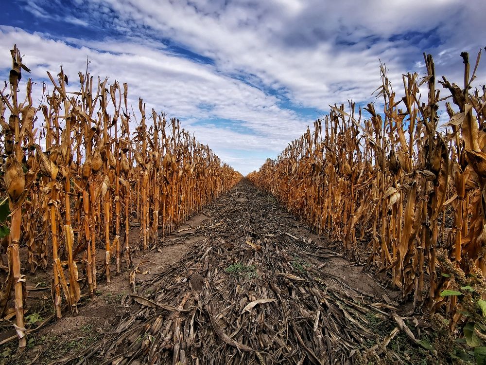 Photograph by Елена Артёменко