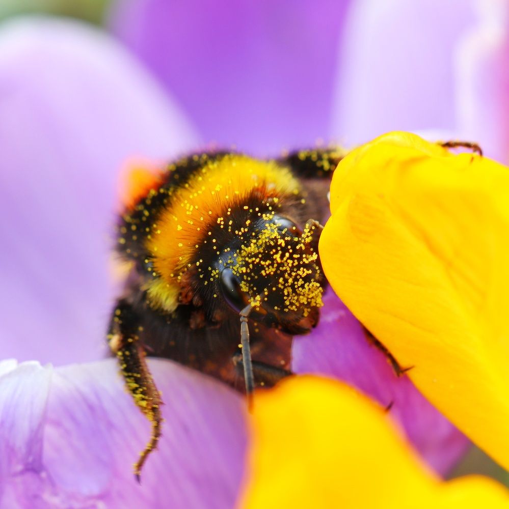 Photograph by Мамикон Мовсесян