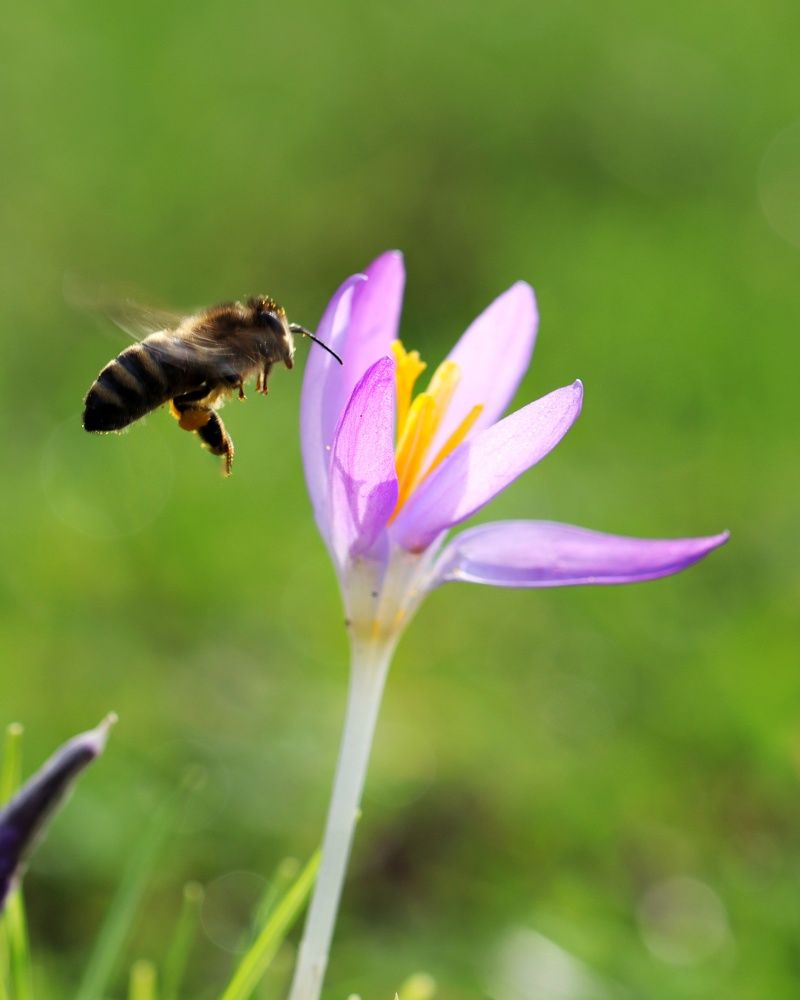 Photograph by Мамикон Мовсесян