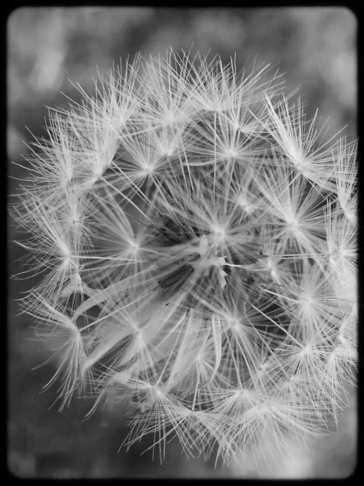 Photograph by Zlatanovic