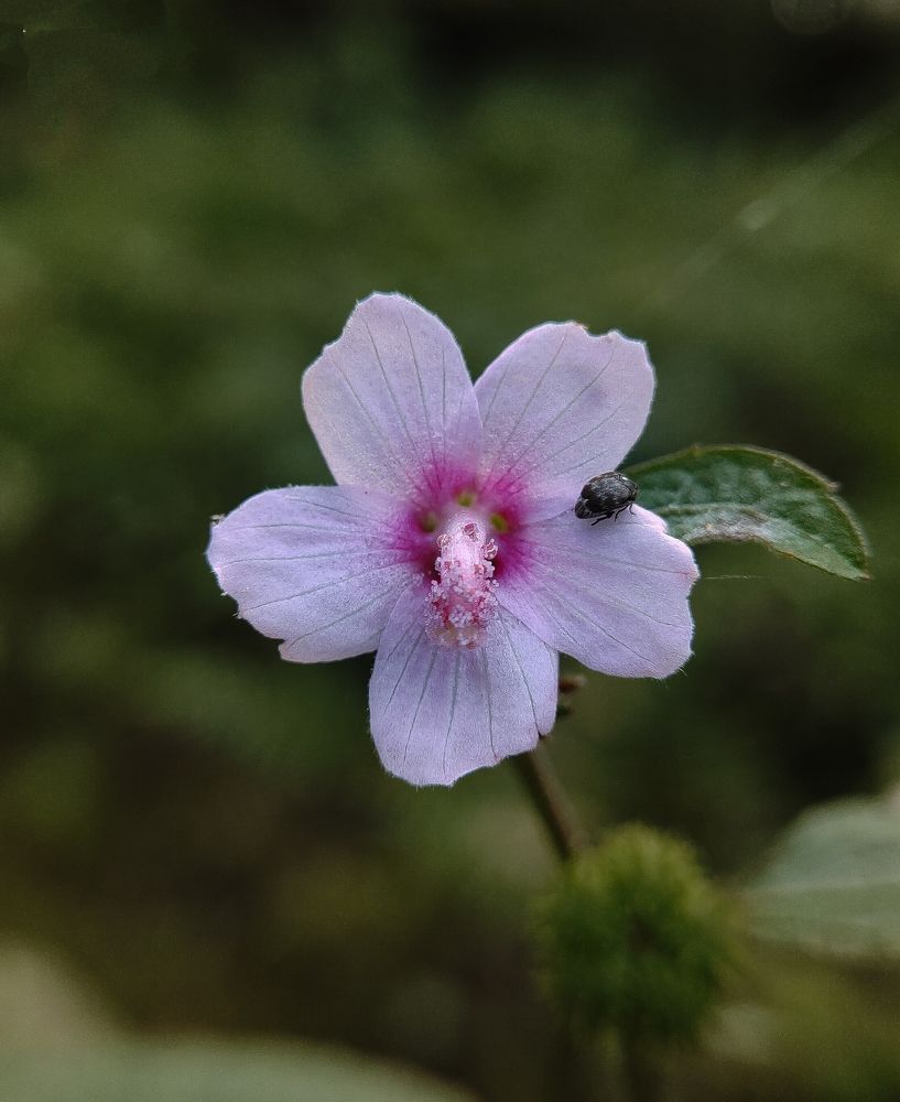 Photograph by Rahul Sen