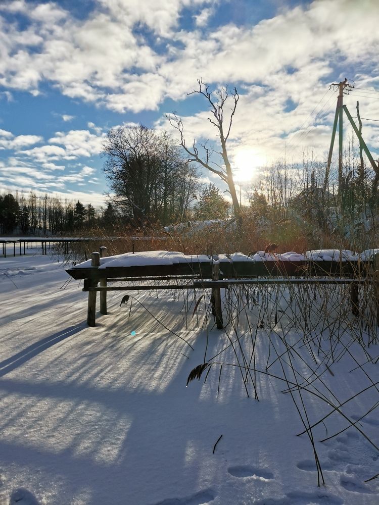 Photograph by Галина Черных