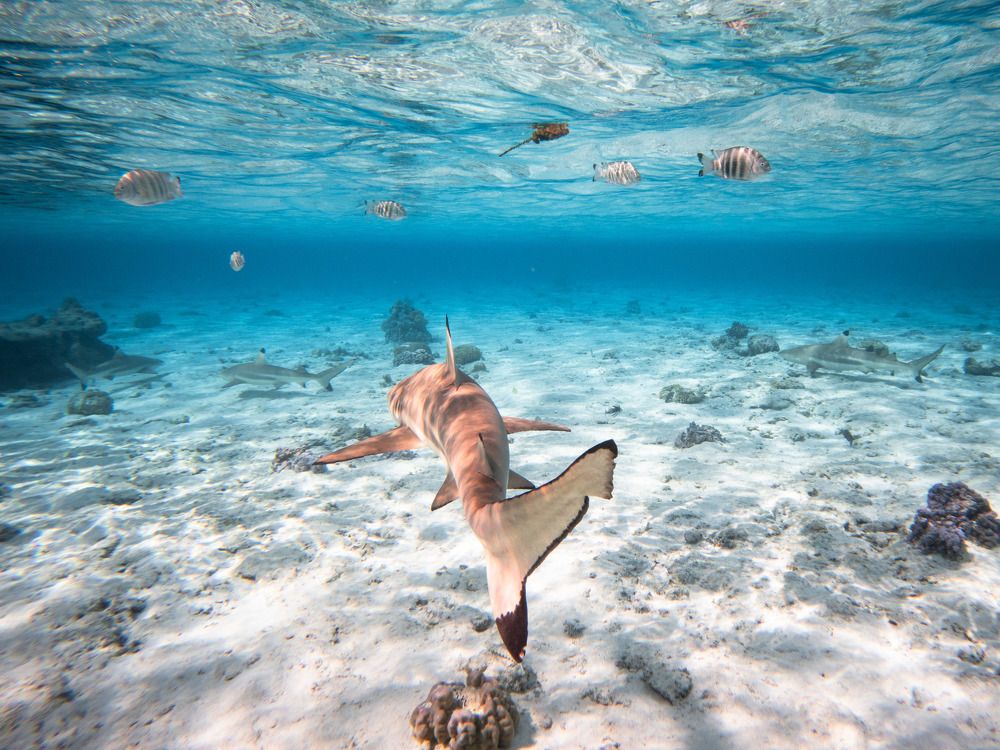 Photograph by Alex Chow