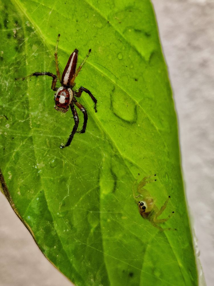 Photograph by Nandhakumar Velumani