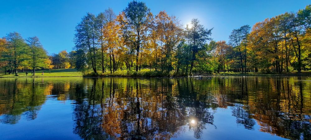 Золотая осень