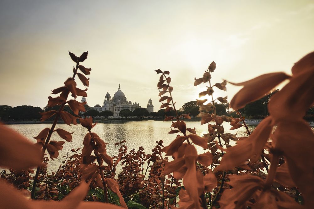 Photograph by Mayukh Roy