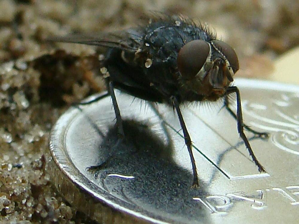 Фотография автора Павел Попов